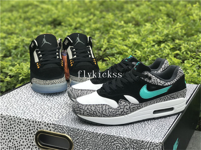 Air Jordan 3 X Air Max 1 Atmos Pack